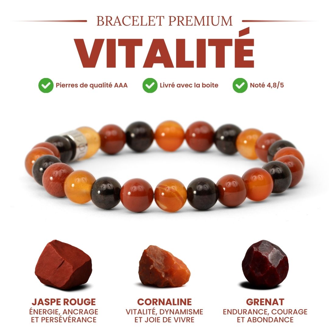 Bracelet « Vitalité & Énergie » en Jaspe Rouge, Cornaline et Grenat