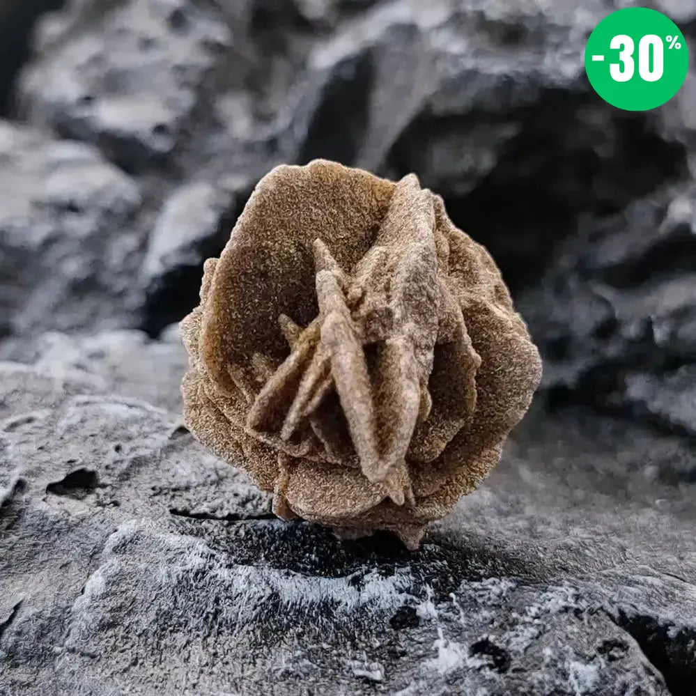 Collier Pendentif Rose du Désert