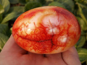 Géode ovale en Cornaline rouge